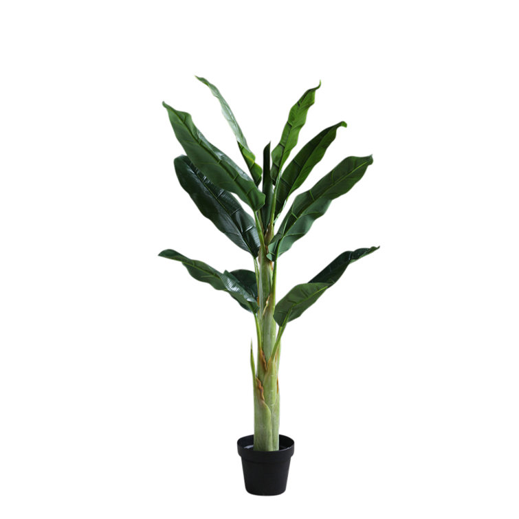 The Seasonal Aisle 125Cm Artificial Banana Leaf Tree in Pot Wayfair.co.uk